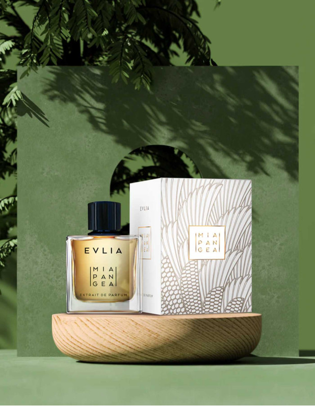 Evlia Xdp